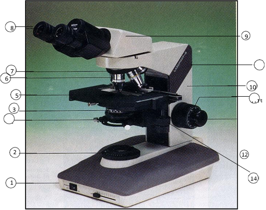 Hướng dẫn sử dụng kính hiển vi 2 mắt MBL 2000